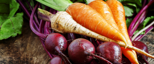 Why We’re Rooting for Winter Veggies